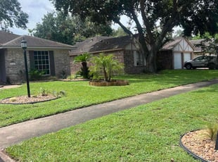 Drew H.'s yard work service result