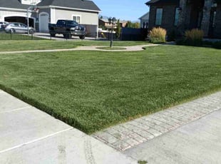 Sandy H.'s turf maintenance service result