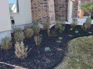 Jose A.'s Flower Bed Weeding service result