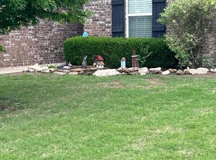 Matt M.'s turf maintenance service result