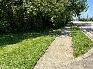 Taylor R.'s Long Grass Cleanup service result