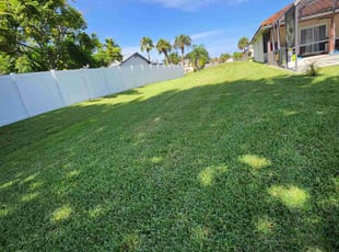 Carol G.'s grass maintenance service result