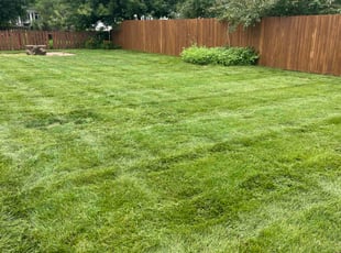 Jan D.'s lawn service service result