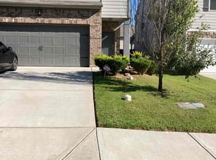 Rosana S.'s turf care service result