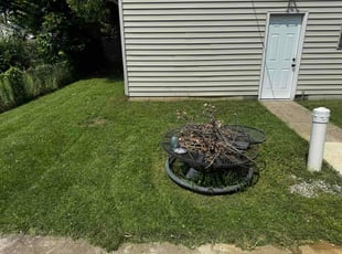 Regina M.'s grass cutting service result