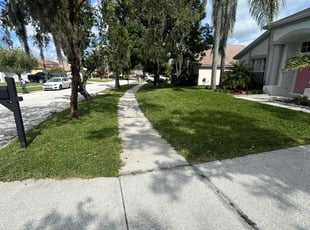 Deborah L.'s turf care service result