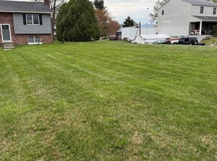 Sarai H.'s lawn maintenance service result