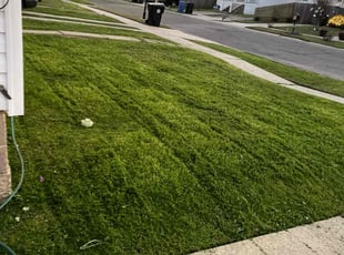 Barrett K.'s grass cutting service result