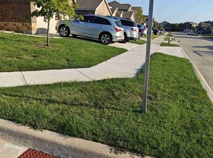 Lauren L.'s lawn care service result