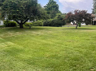 Sharell R.'s lawn care service result