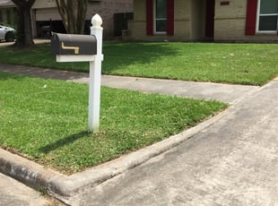 Joyce R.'s grass cutting service result