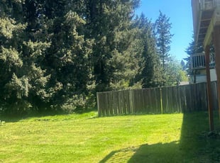 Charlie C.'s lawn care service result