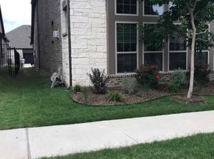 Jason F.'s lawn service service result