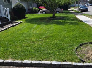 Brad I.'s lawn service service result