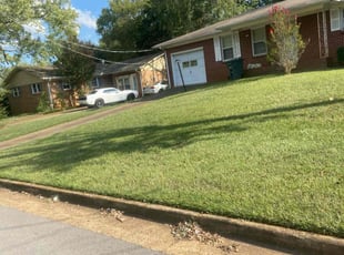 Joie F.'s lawn care services service result