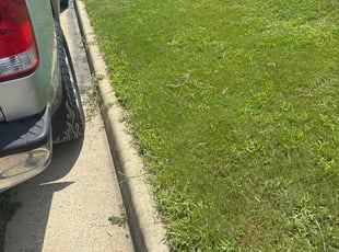 Brian D.'s lawn service service result