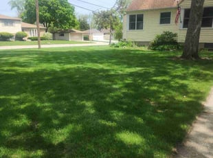 Sofie S.'s turf care service result