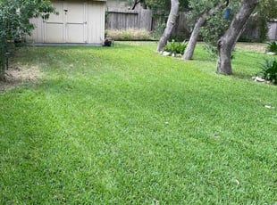 Sam H.'s lawn service service result