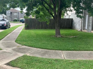 Carol B.'s grass cutting service result