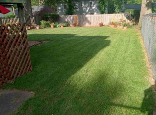 Kylene B.'s lawn care service result