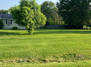 Holly F.'s lawn service service result