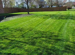 Anna L.'s lawn maintenance service result