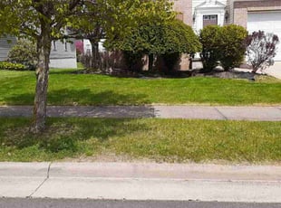 Kayla B.'s turf care service result