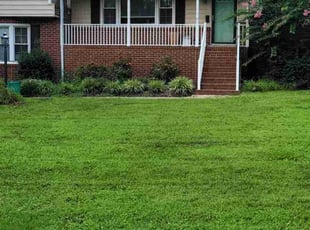 Gary B.'s lawn care service result