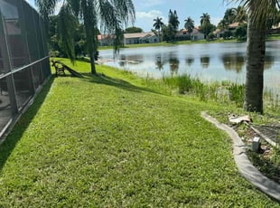 Gerardo D.'s yard service service result