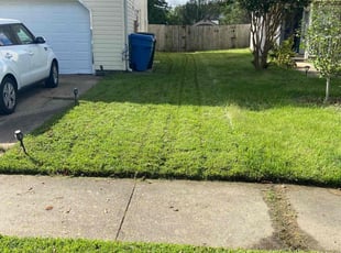 Susan N.'s lawn care services service result