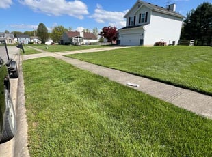 Donna W.'s lawn maintenance service result
