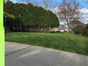 Brayden M.'s lawn maintenance service result