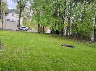 Sam W.'s lawn care services service result