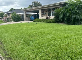 Shahana A.'s turf care service result