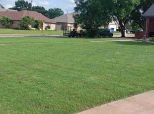 Shaddiff W.'s lawn maintenance service result