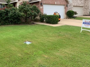 Jackie M.'s Bush Trimming service result