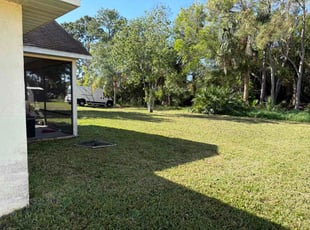 Judie W.'s turf care service result