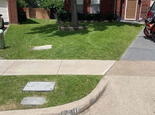 Cheyenne C.'s grass maintenance service result