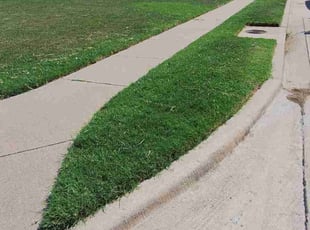 Grace R.'s turf maintenance service result