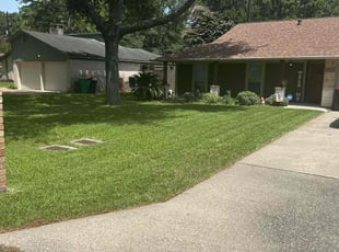 Charlot F.'s yard care service result