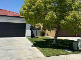 Stephanie A.'s turf care service result