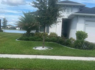 Samentha S.'s turf maintenance service result