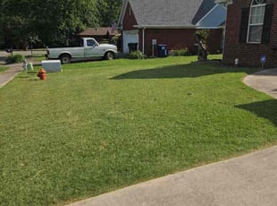 Natalie H.'s lawn care services service result
