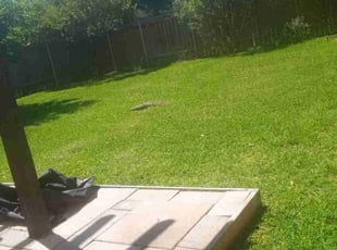 Val O.'s lawn care services service result
