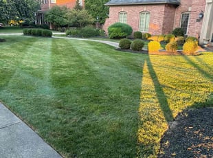 Diane W.'s lawn care services service result