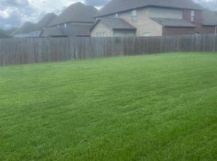 Lesley K.'s lawn maintenance service result