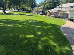 Mark R.'s lawn service service result
