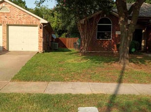 Aslin H.'s turf care service result