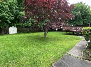 Lorna G.'s turf maintenance service result