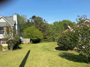 Anthony W.'s lawn care service result